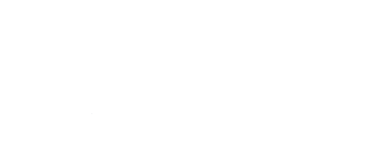 Nyborg logo